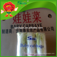 Baby Kohl Sweety Baby Gemüse chinesischen Baby Kohl Sweety Baby Pflanze